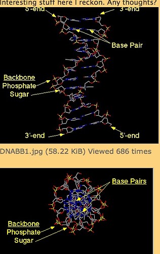 DNA.jpg