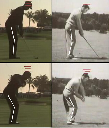 tiger_Hogan.jpg