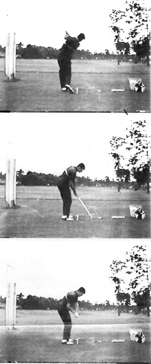 Faldo DTL Post Small Pic 91.jpg