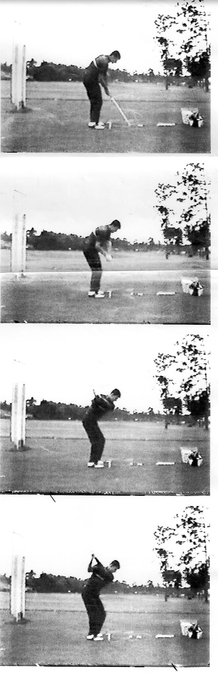Faldo DTL Small Pic 91.jpg