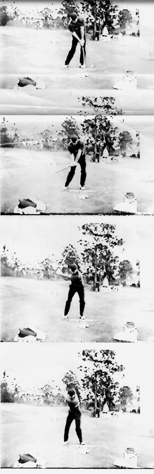 Faldo Face On Small Pic 91.jpg