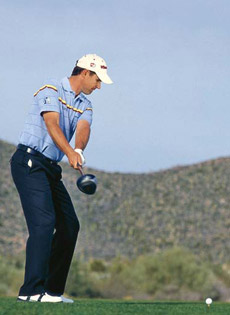 insl03_harrington.jpg