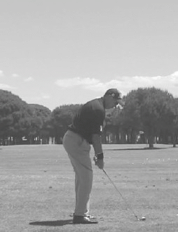 7 Iron DTL stance line view Gif.gif