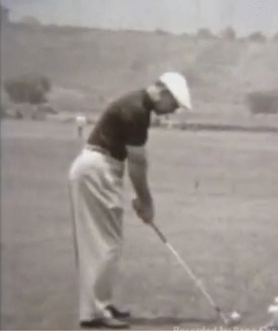 hogan432.gif