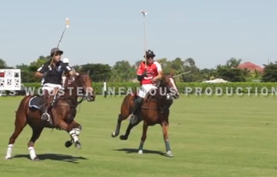 polo.jpg