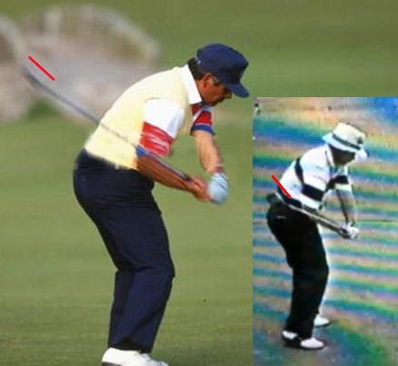 trevino2.jpg
