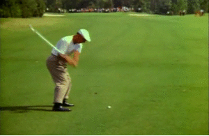 hogan2.gif