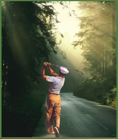 hoganwoods.png