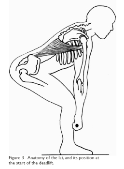 deadlift_lats.jpg