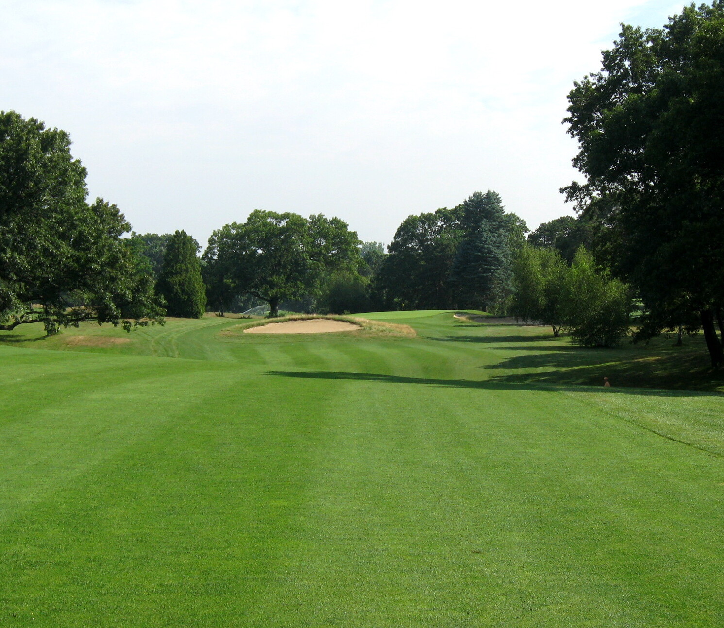 Triggs 10th fwy.jpg