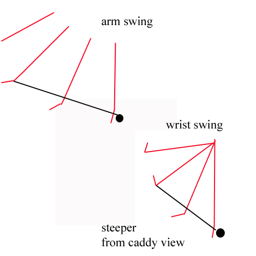 wrist_arm.jpg