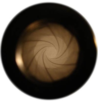 rifling.jpg
