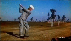hogan.gif