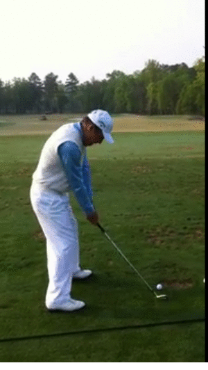 Gary_Player.gif