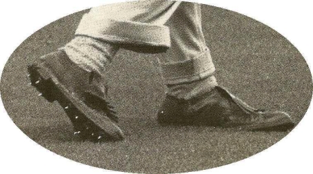 Hogan_Feet_1 small.jpg