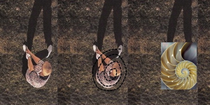 Daly Shell.jpg