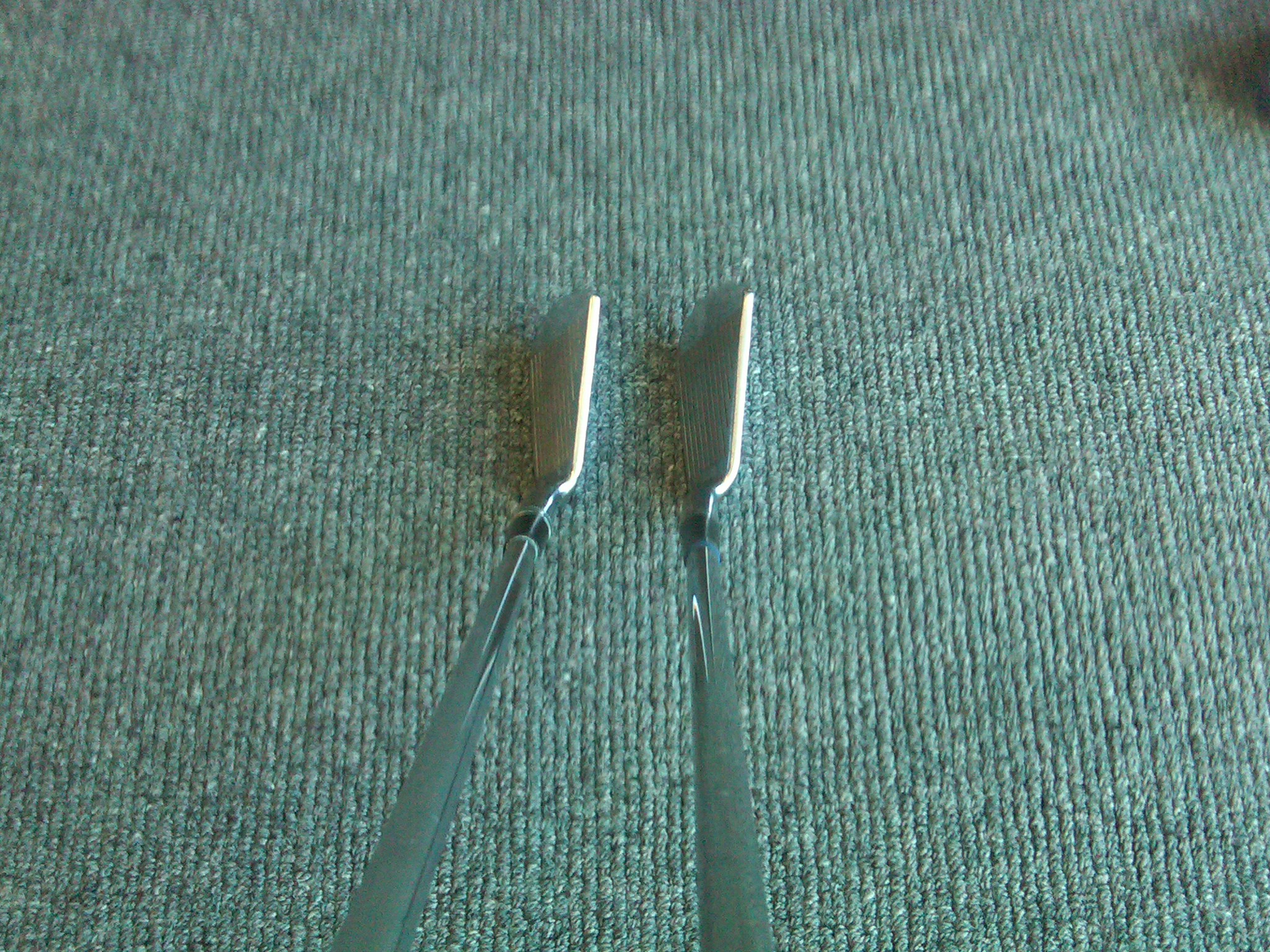 IMG00103-20091217-1339.jpg
