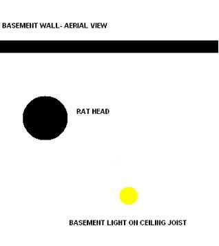 light.JPG