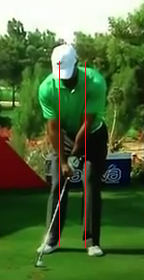 Tiger narrow stance.png