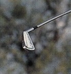 Apex ll.jpg