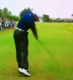 Tiger Impact.jpg