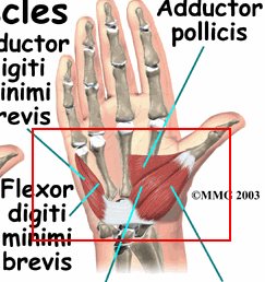hand.gif