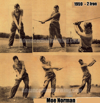 moe1959.jpg