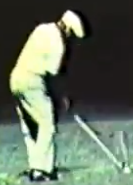 Hogan-Impact.png