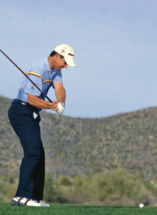 insl06_harrington.jpg