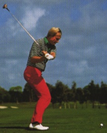 Nicklaus R arm.jpg