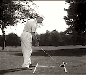 StanPopeyeLeonard_zps45c72fbd.gif