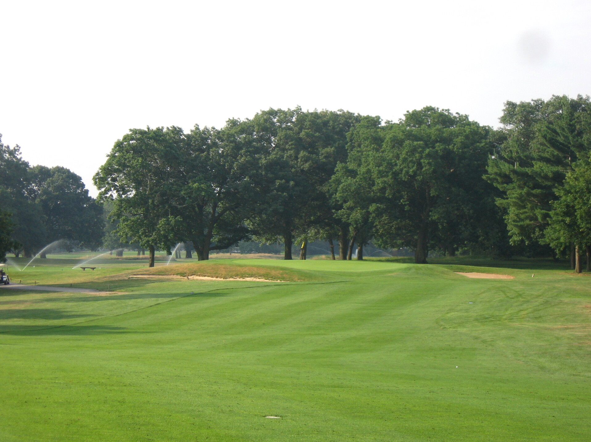 Triggs 5 green.jpg