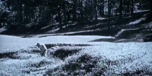 hogan_augusta.jpg