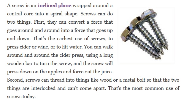 The Screw.jpg