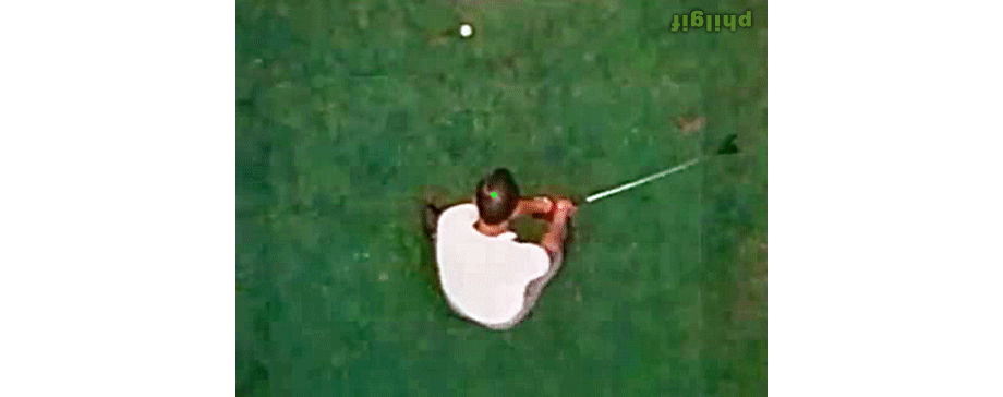 Palmer-top-spiral.gif