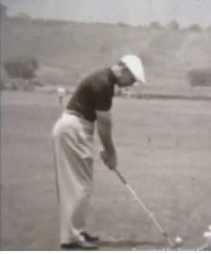 hogan334.gif