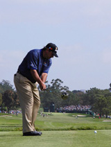 Cabrera1.jpg