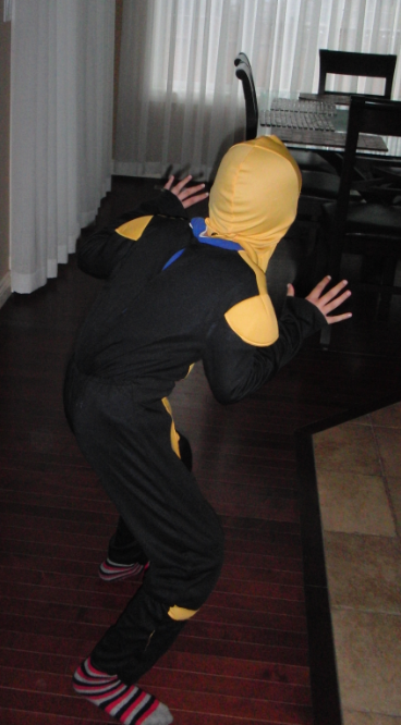 Ninja.PNG